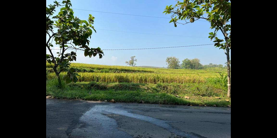 Tanah Rumah Strategis Buka Usaha Karanganyar Tanah Rumah Strategis Buka Usaha Karanganyar