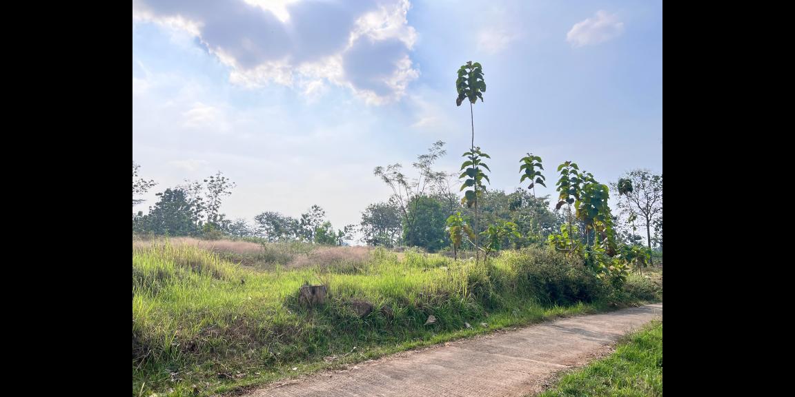 Tanah 8200m 200rb/m Kerjo Karanganyar Utara Tanah 8200m 200rb/m Kerjo Karanganyar Utara
