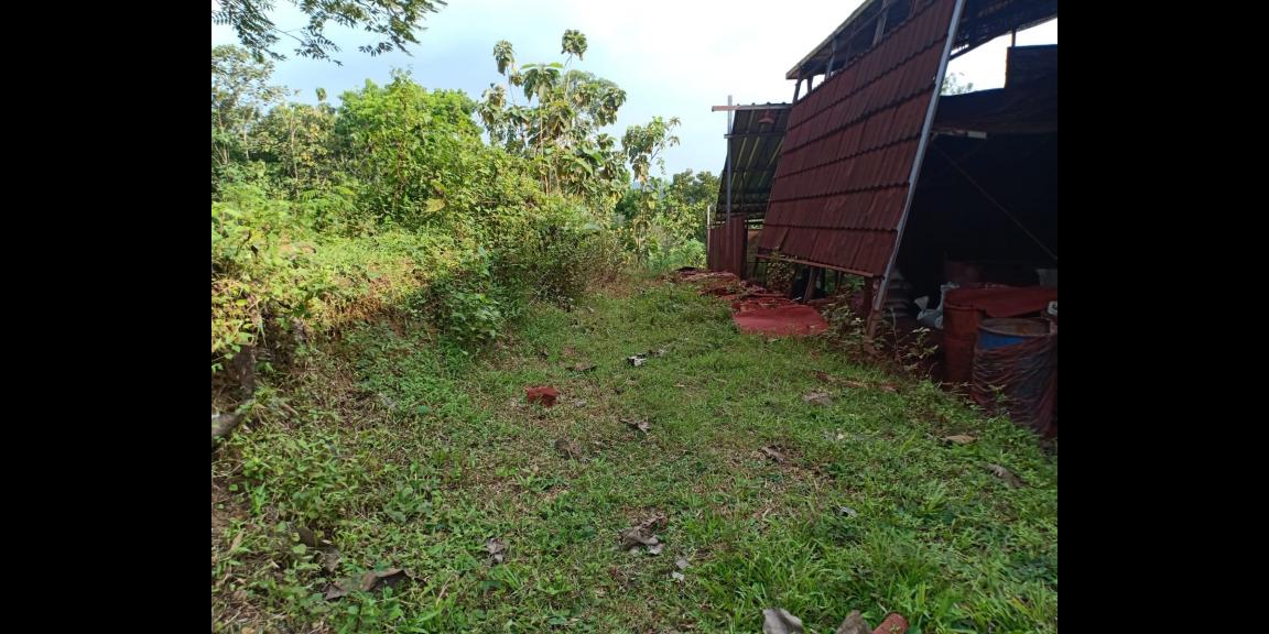 Tanah Dijual Murah Sambirejo Sragen Tanah Dijual Murah Sambirejo Sragen