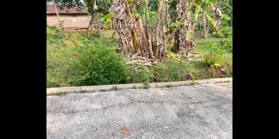 Tanah Super Datar 300rb/m 2000m Karanganyar Utara Tanah Super Datar 300rb/m 2000m Karanganyar Utara