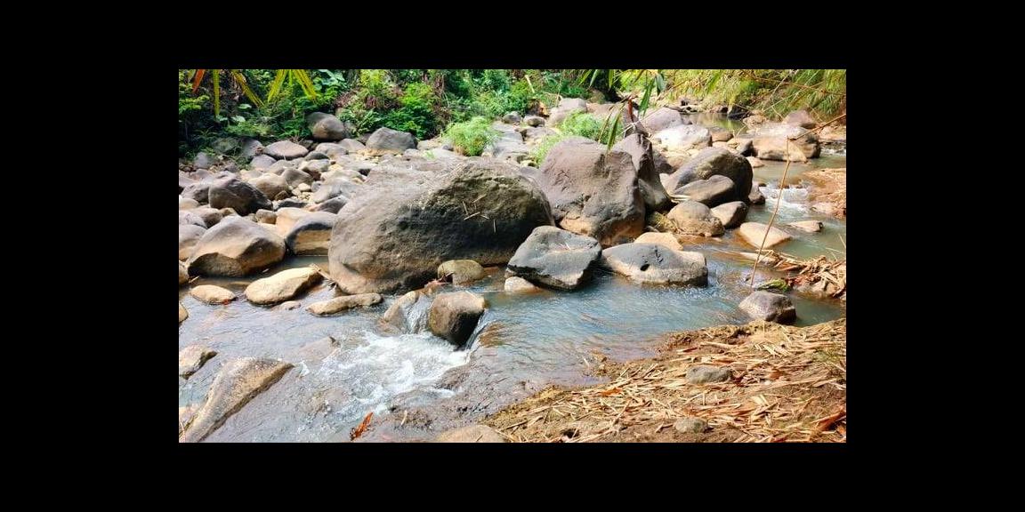 Tanah Subur Dekat Sungai Kerjo Karanganyar Tanah Subur Dekat Sungai Kerjo Karanganyar