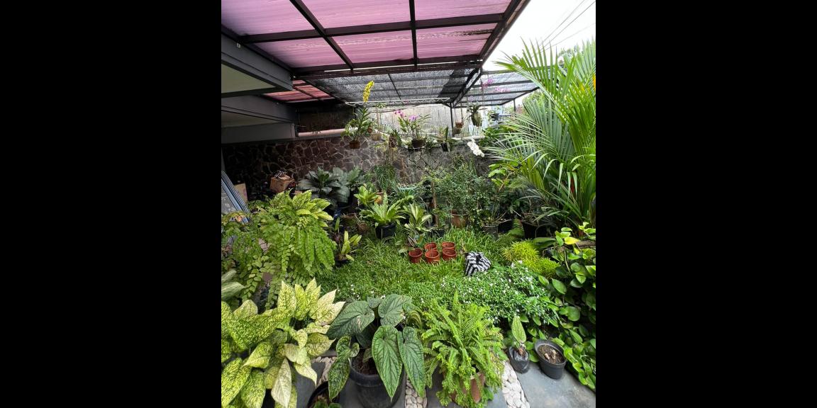 Dijual Rumah Mewah Solo Kota Jateng Dijual Rumah Mewah Solo Kota Jateng