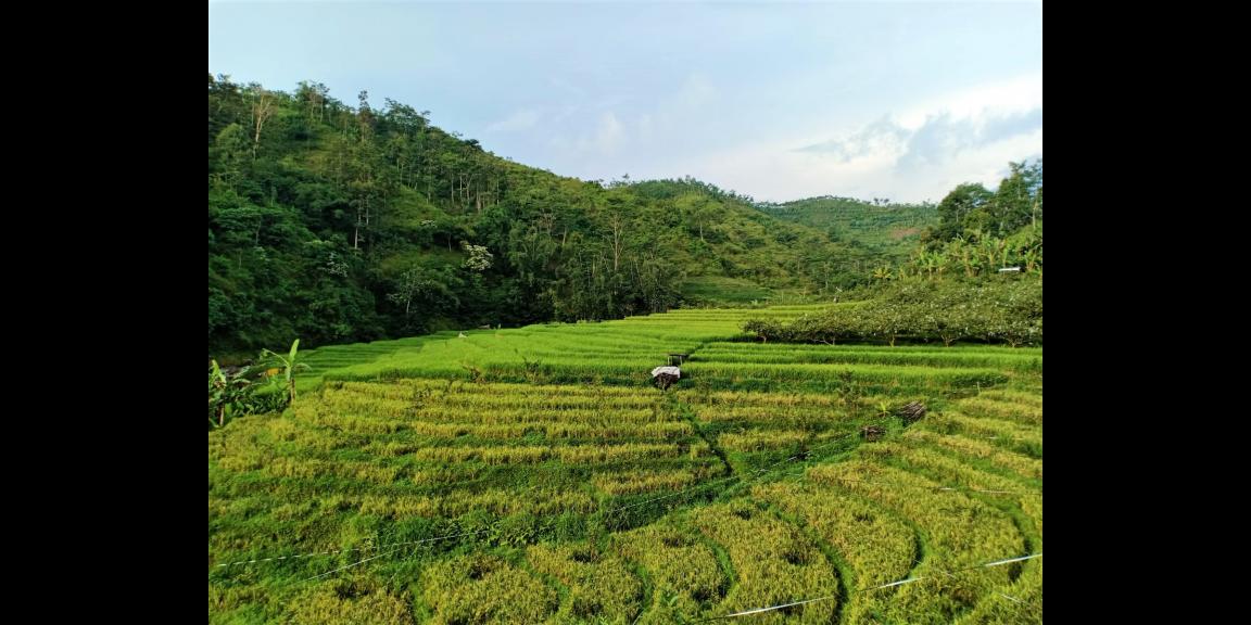 Tanah Cocok untuk Wisata / dibangun Hotel Ngargoyoso Karanganyar Tanah Cocok untuk Wisata / dibangun Hotel Ngargoyoso Karanganyar