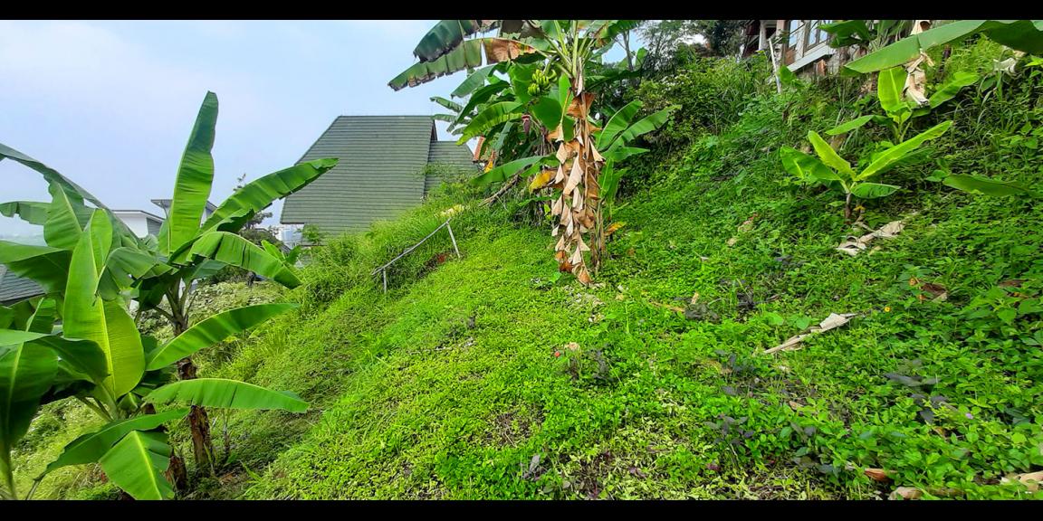 TANAH VIEW LEMBAH PAKAR KAWASAN DAGO BANDUNG TANAH VIEW LEMBAH PAKAR KAWASAN DAGO BANDUNG