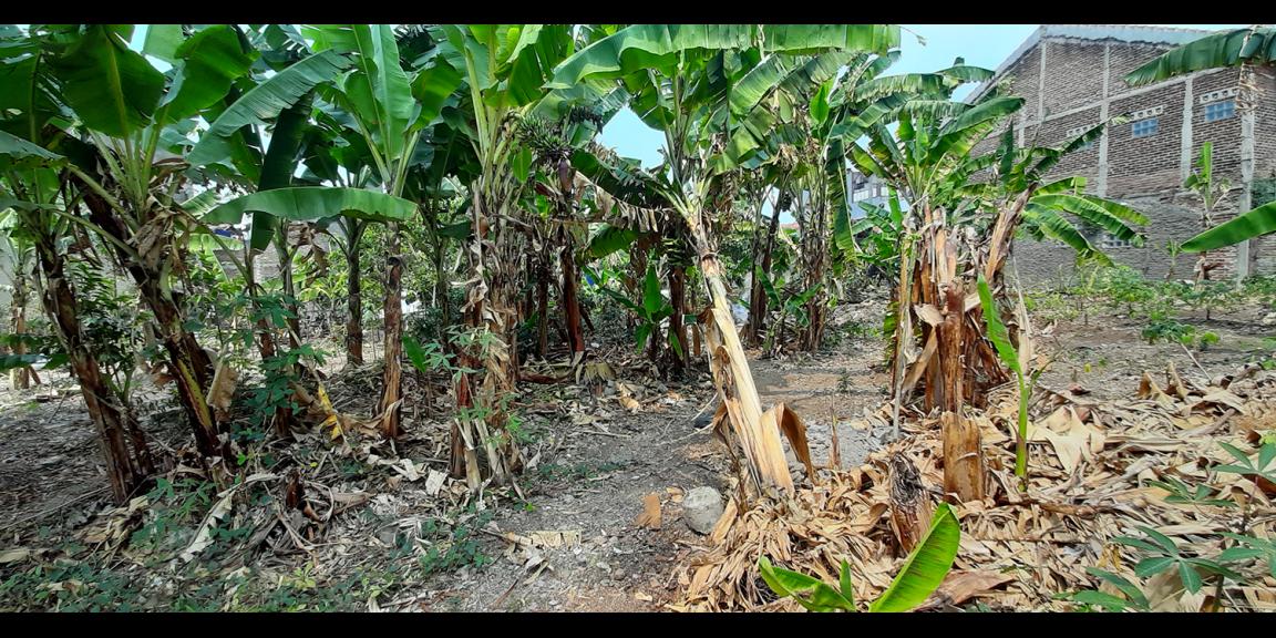 TANAH KOMERSIAL DI ANTAPANI BANDUNG TANAH KOMERSIAL DI ANTAPANI BANDUNG