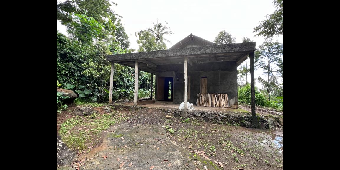 Kebun Durian Bonus Rumah Hanya 275 Juta Kemuning Kebun Durian Bonus Rumah Hanya 275 Juta Kemuning