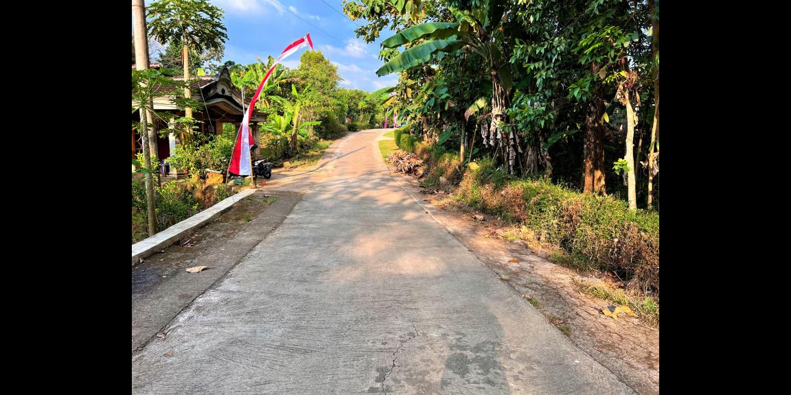 TANAH KEBUN JATI COCOK UNTUK BUKA USAHA/ RUMAH TINGGAL KERJO KARANGANYAR TANAH KEBUN JATI COCOK UNTUK BUKA USAHA/ RUMAH TINGGAL KERJO KARANGANYAR