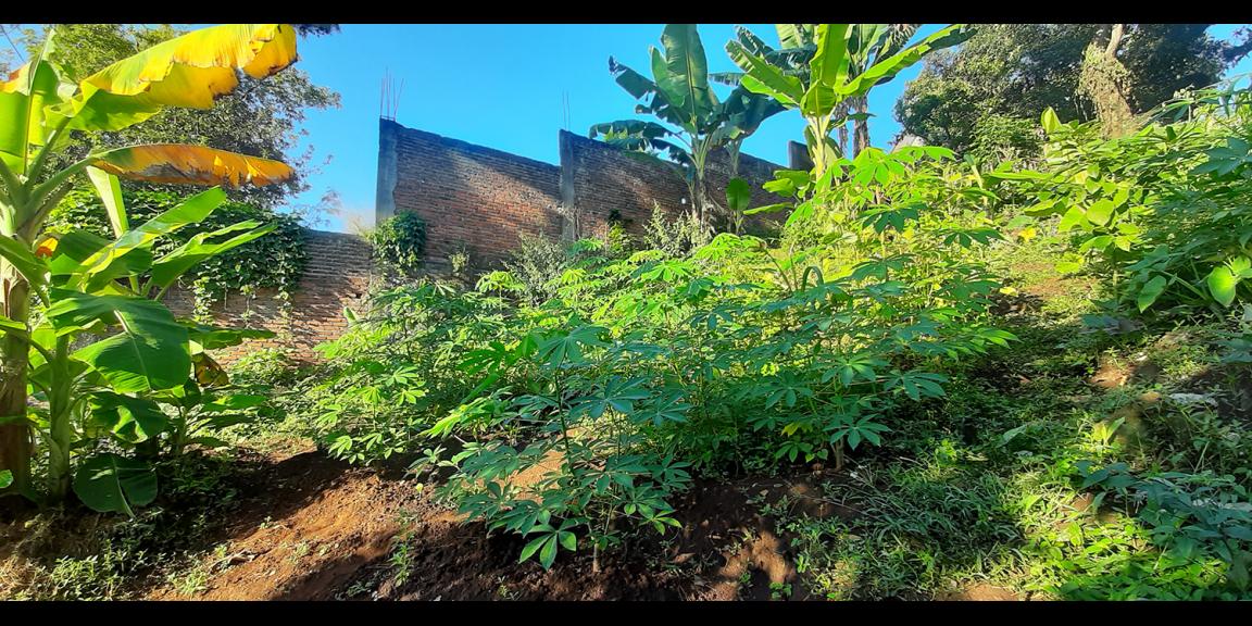 TANAH UNTUK RUMAH TINGGAL ATAU KOST-KOSTAN DI TUBAGUS ISMAIL DAGO BANDUNG TANAH UNTUK RUMAH TINGGAL ATAU KOST-KOSTAN DI TUBAGUS ISMAIL DAGO BANDUNG