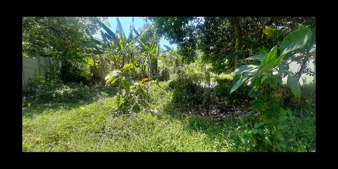 TANAH HUNIAN VIEW KOTA BANDUNG DI JALAN PASIR IMPUN BANDUNG TANAH HUNIAN VIEW KOTA BANDUNG DI JALAN PASIR IMPUN BANDUNG