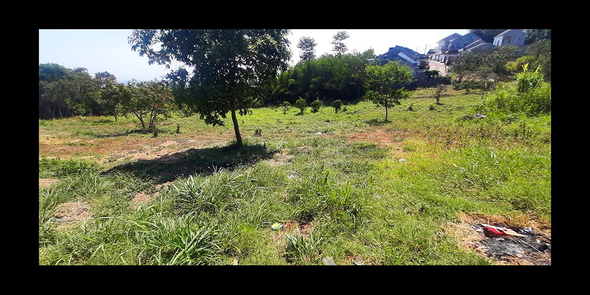 TANAH UNTUK PERUMAHAN LENGKAP DENGAN IJIN LOKASI DI JALAN CILENGKRANG BANDUNG TANAH UNTUK PERUMAHAN LENGKAP DENGAN IJIN LOKASI DI JALAN CILENGKRANG BANDUNG