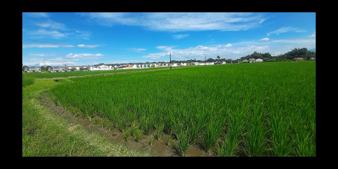 TANAH UNTUK PERUMAHAN ATAU PERMUKIMAN DI CILILIN BANDUNG BARAT TANAH UNTUK PERUMAHAN ATAU PERMUKIMAN DI CILILIN BANDUNG BARAT