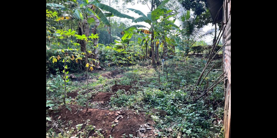 Rumah Siap Huni 457m² Kerjo Karanganyar Rumah Siap Huni 457m² Kerjo Karanganyar