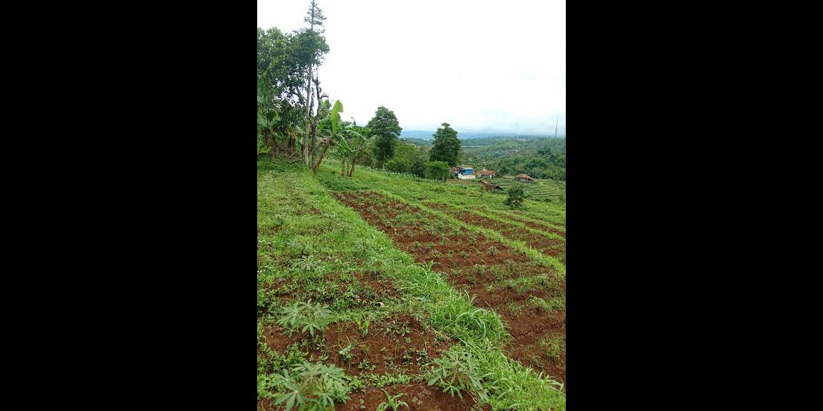 TANAH UNTUK PERUMAHAN DAN PERMUKIMAN DEKAT GT. PAMULIHAN TANJUNGSARI SUMEDANG TANAH UNTUK PERUMAHAN DAN PERMUKIMAN DEKAT GT. PAMULIHAN TANJUNGSARI SUMEDANG