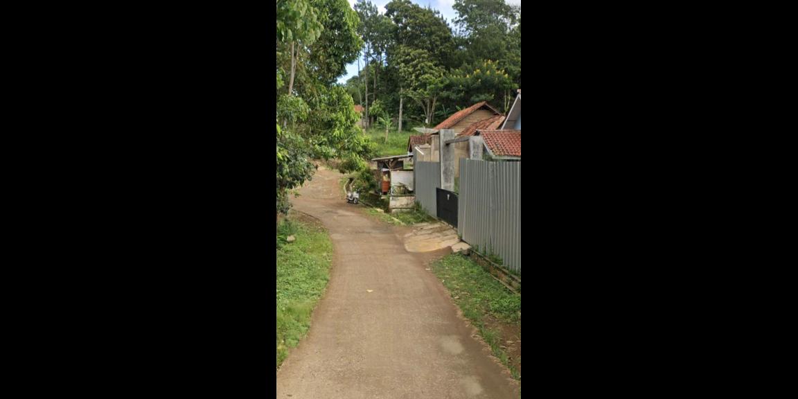 TANAH UNTUK RUMAH ATAU KOST DEKAT UNPAD ITB DAN IKOPIN DI JATINANGOR SUMEDANG TANAH UNTUK RUMAH ATAU KOST DEKAT UNPAD ITB DAN IKOPIN DI JATINANGOR SUMEDANG
