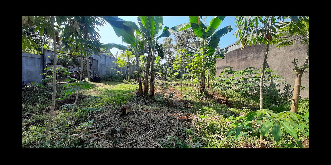 TANAH VIEW LEMBAH COCOK UNTUK RUMAH ATAU VILLA DI AWI LIGAR BANDUNG TANAH VIEW LEMBAH COCOK UNTUK RUMAH ATAU VILLA DI AWI LIGAR BANDUNG