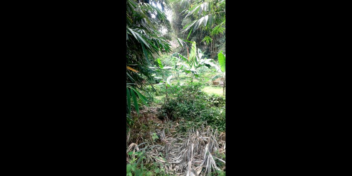 TANAH VIEW KOTA BANDUNG UNTUK RUMAH VILLA DAN KEBUN PRODUKTIF DI UJUNG BERUNG TANAH VIEW KOTA BANDUNG UNTUK RUMAH VILLA DAN KEBUN PRODUKTIF DI UJUNG BERUNG