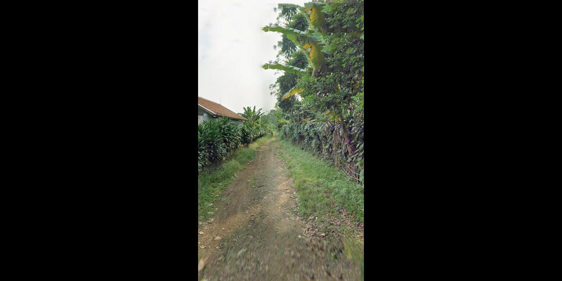 TANAH UNTUK WISATA RESORT PERKEBUNAN PETERNAKAN DEKAT JALAN CAGAK SUBANG TANAH UNTUK WISATA RESORT PERKEBUNAN PETERNAKAN DEKAT JALAN CAGAK SUBANG