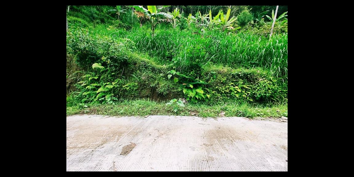 Dijual Tanah Datar Dekat Candi Sukuh Kemuning Karanganyar Dijual Tanah Datar Dekat Candi Sukuh Kemuning Karanganyar