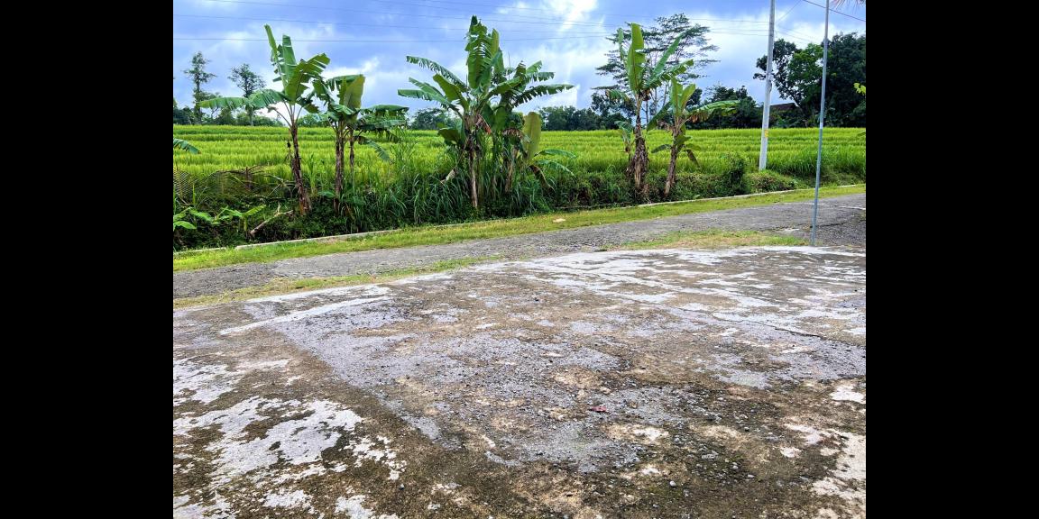 Dijual Rumah Joglo Mojogedang Karanganyar Dijual Rumah Joglo Mojogedang Karanganyar