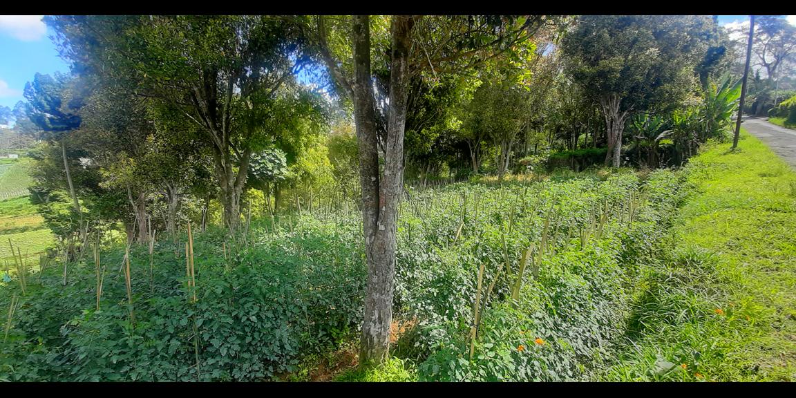 TANAH HUNIAN DAN KOMERSIL DI CIUMBULEUIT BANDUNG TANAH HUNIAN DAN KOMERSIL DI CIUMBULEUIT BANDUNG