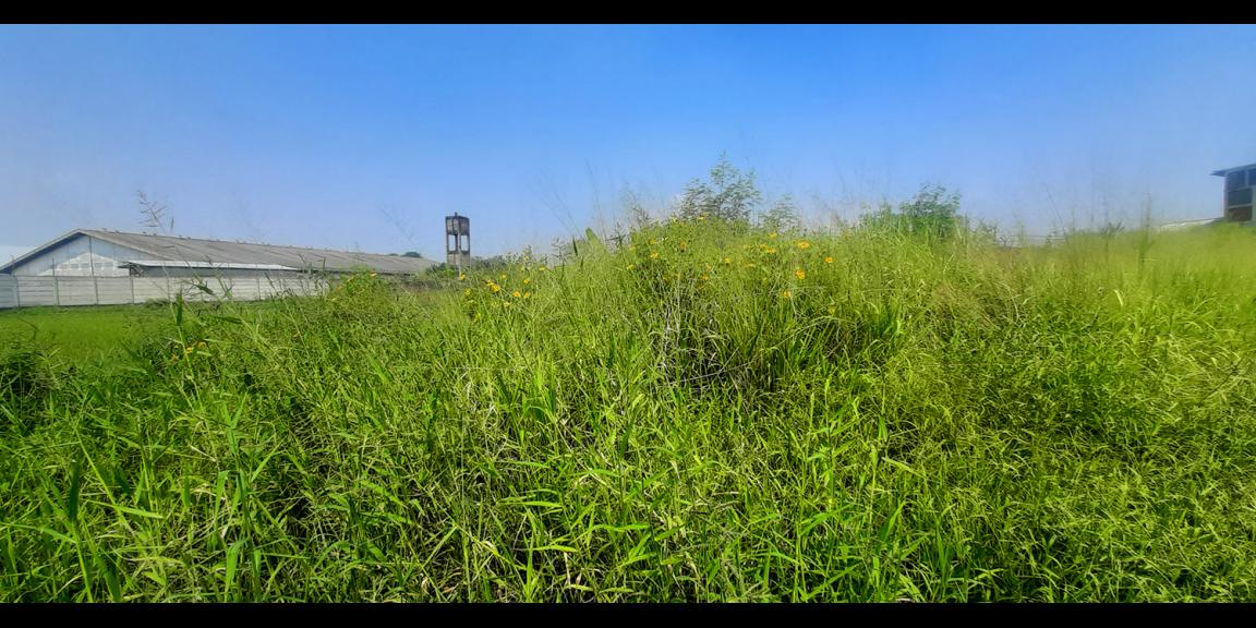 TANAH INDUSTRI, MANUFAKTUR DAN PERGUDANGAN DI CIMAHI TANAH INDUSTRI, MANUFAKTUR DAN PERGUDANGAN DI CIMAHI