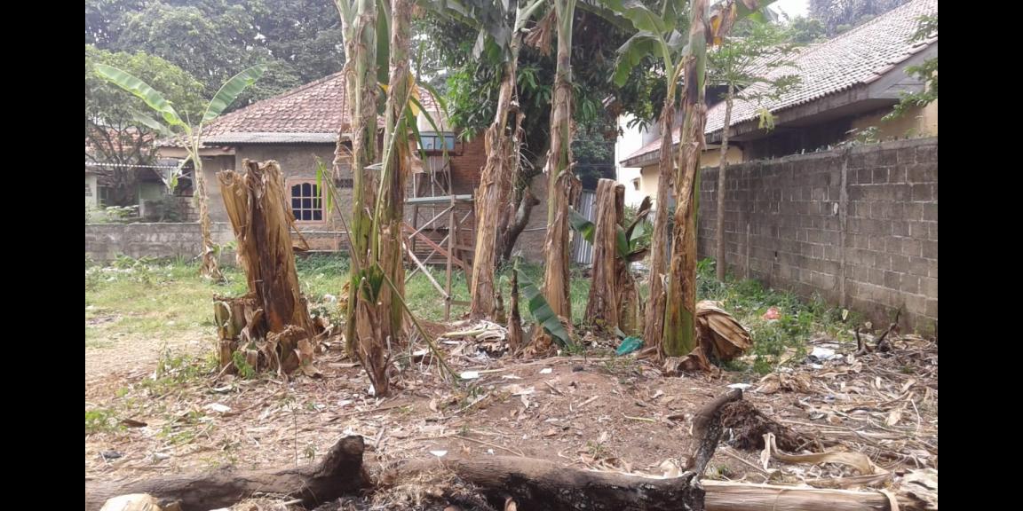 Jual Cepat Rumah Tanah Jalan Cagar Alam Selatan Pancoran Mas Depok Jawa Barat Jual Cepat Rumah Tanah Jalan Cagar Alam Selatan Pancoran Mas Depok Jawa Barat