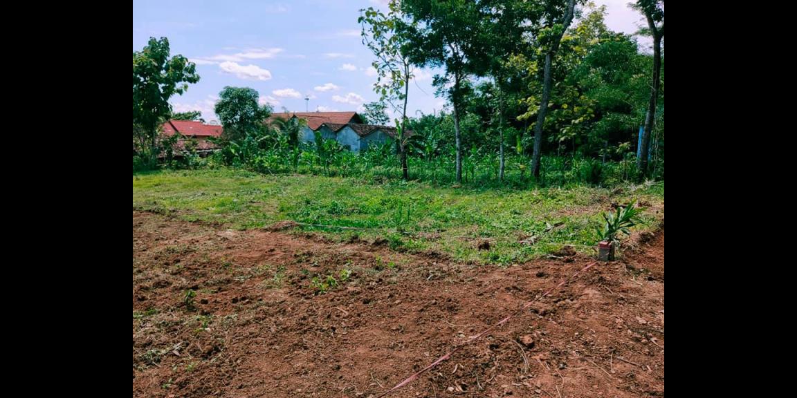 Dijual Tanah Datar 182m² Dekat MTS Mojogedang Karanganyar Dijual Tanah Datar 182m² Dekat MTS Mojogedang Karanganyar