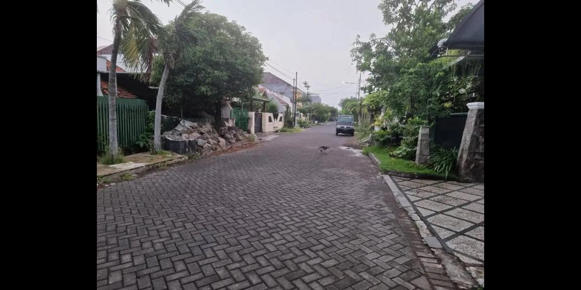 Jual Rumah Bagus Kawasan Jambangan Gayungsari Barat Surabaya Jual Rumah Bagus Kawasan Jambangan Gayungsari Barat Surabaya