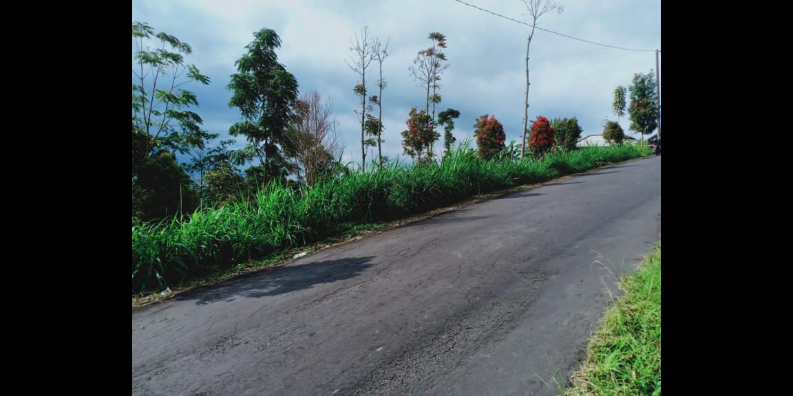 Dijual Tanah Strategis di Kemuning Ngargoyoso Karanganyar Dijual Tanah Strategis di Kemuning Ngargoyoso Karanganyar