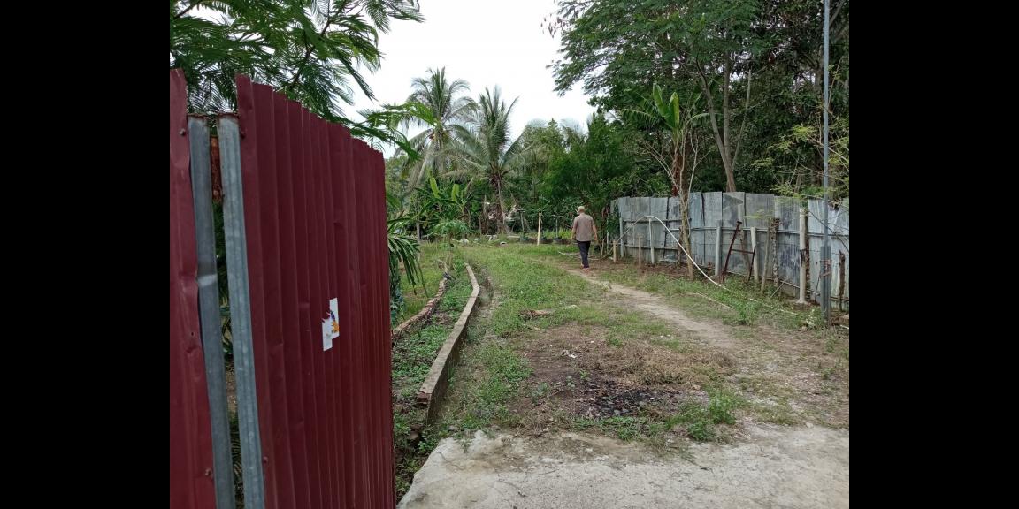 DIJUAL LAHAN KEBUN HOLTIKULTURA BUAH NAGA & TIN LINGKAR SELATAN, CILEGON DIJUAL LAHAN KEBUN HOLTIKULTURA BUAH NAGA & TIN LINGKAR SELATAN, CILEGON