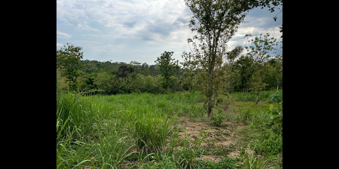 Tanah 1,4 Hektar Tepi Jl Raya Karangpandan, Karanganyar Tanah 1,4 Hektar Tepi Jl Raya Karangpandan, Karanganyar