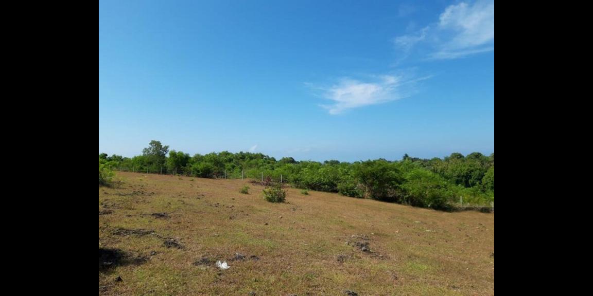 Jual Tanah Dekat Tempat Wisata di Gayang Sari Kuta Bali Jual Tanah Dekat Tempat Wisata di Gayang Sari Kuta Bali