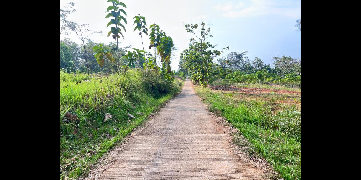 Tanah 8200m 200rb/m Kerjo Karanganyar Utara Tanah 8200m 200rb/m Kerjo Karanganyar Utara