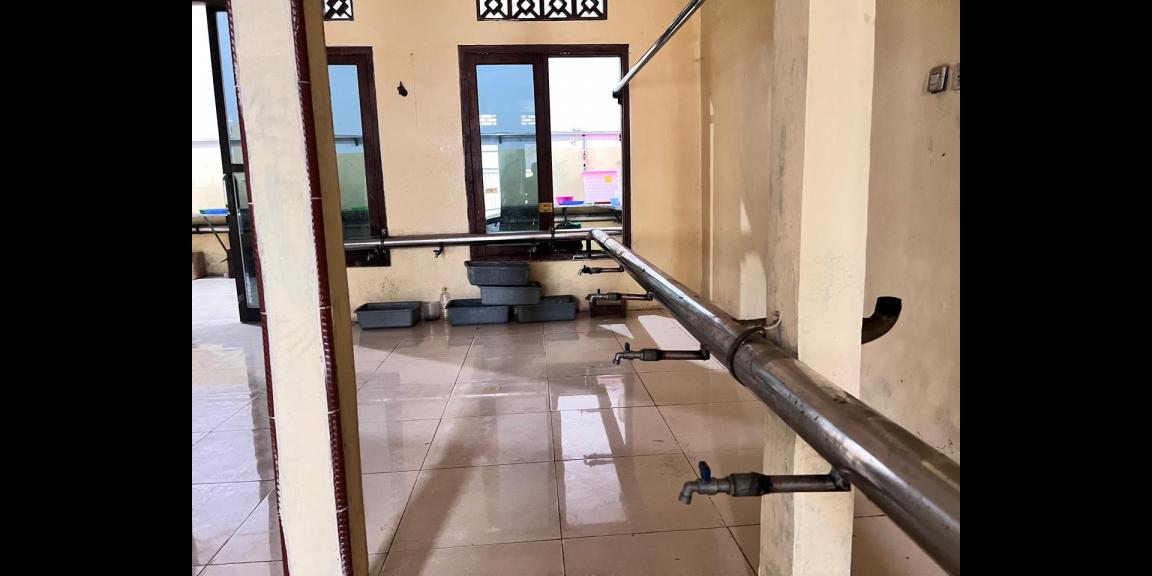 Pabrik Minyak Goreng 2 Lantai Siap Produksi Sragen Pabrik Minyak Goreng 2 Lantai Siap Produksi Sragen