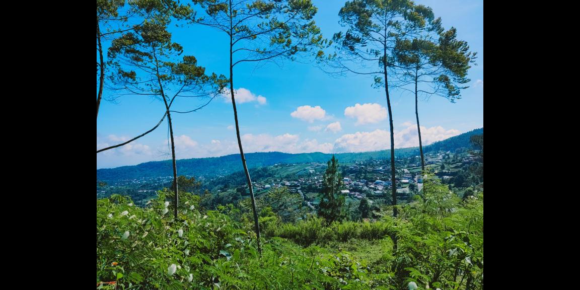 Dijual Tanah Strategis dibangun Villa/Hotel Kemuning Karanganyar Dijual Tanah Strategis dibangun Villa/Hotel Kemuning Karanganyar