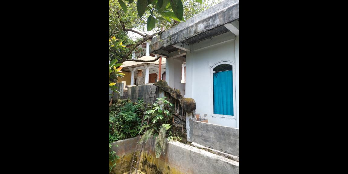 Dijual Cepat & Murah 2 Unit Rumah di Parung Bogor Dijual Cepat & Murah 2 Unit Rumah di Parung Bogor