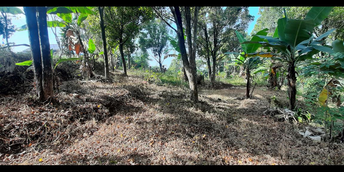 TANAH KOMERSIAL MAIN ROAD ARCAMANIK SINDANGLAYA BANDUNG TANAH KOMERSIAL MAIN ROAD ARCAMANIK SINDANGLAYA BANDUNG