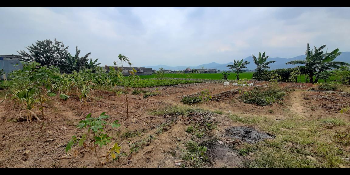 TANAH UNTUK PERUMAHAN DEKAT PODOMORO PARK BUAH BATU BANDUNG TANAH UNTUK PERUMAHAN DEKAT PODOMORO PARK BUAH BATU BANDUNG