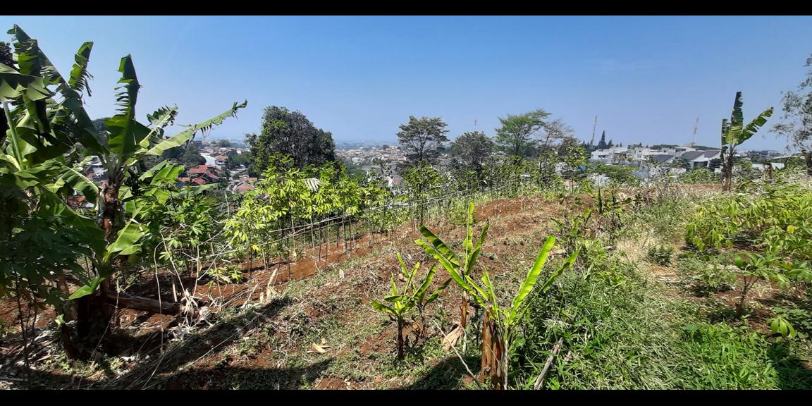TANAH HUNIAN VIEW KOTA BANDUNG DI PASIR IMPUN BANDUNG TANAH HUNIAN VIEW KOTA BANDUNG DI PASIR IMPUN BANDUNG