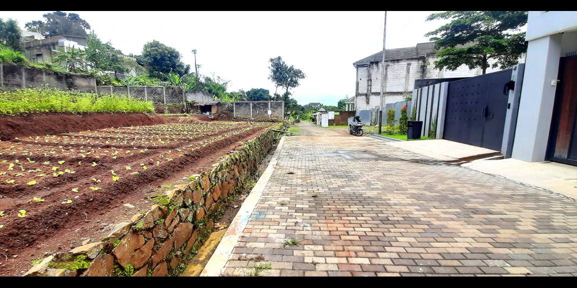 TANAH UNTUK RUMAH TINGGAL ATAU VILLA DI SAYAP SERSAN BAJURI KOTA BANDUNG TANAH UNTUK RUMAH TINGGAL ATAU VILLA DI SAYAP SERSAN BAJURI KOTA BANDUNG