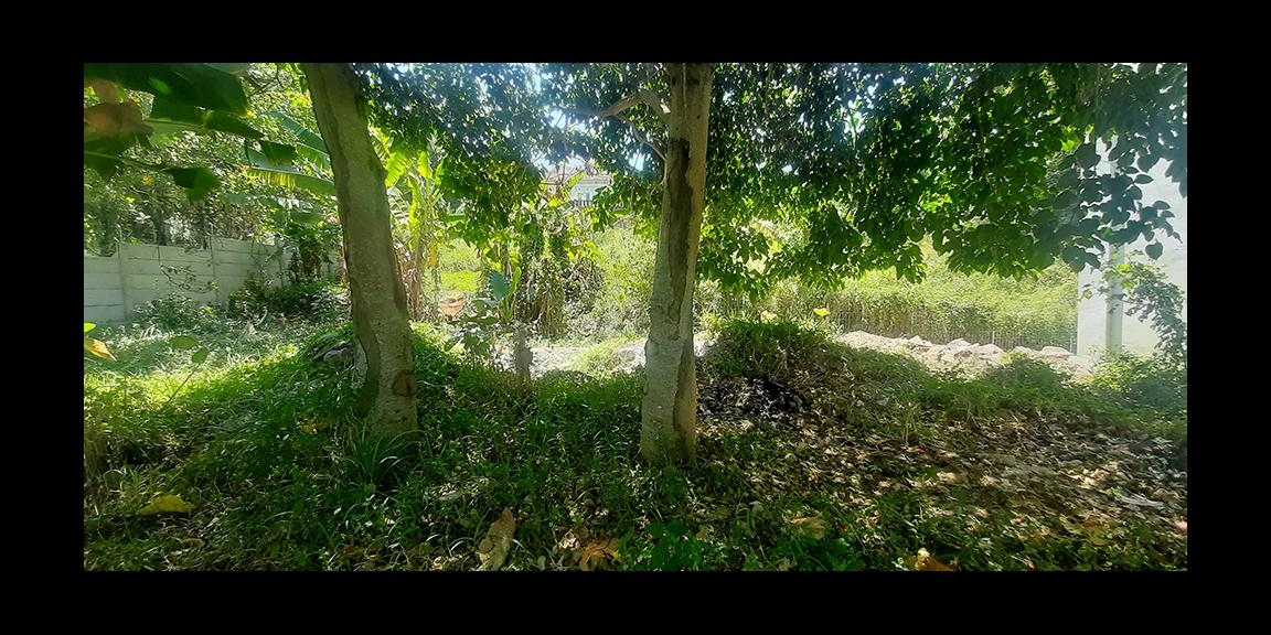 TANAH HUNIAN VIEW KOTA BANDUNG DI JALAN PASIR IMPUN BANDUNG TANAH HUNIAN VIEW KOTA BANDUNG DI JALAN PASIR IMPUN BANDUNG