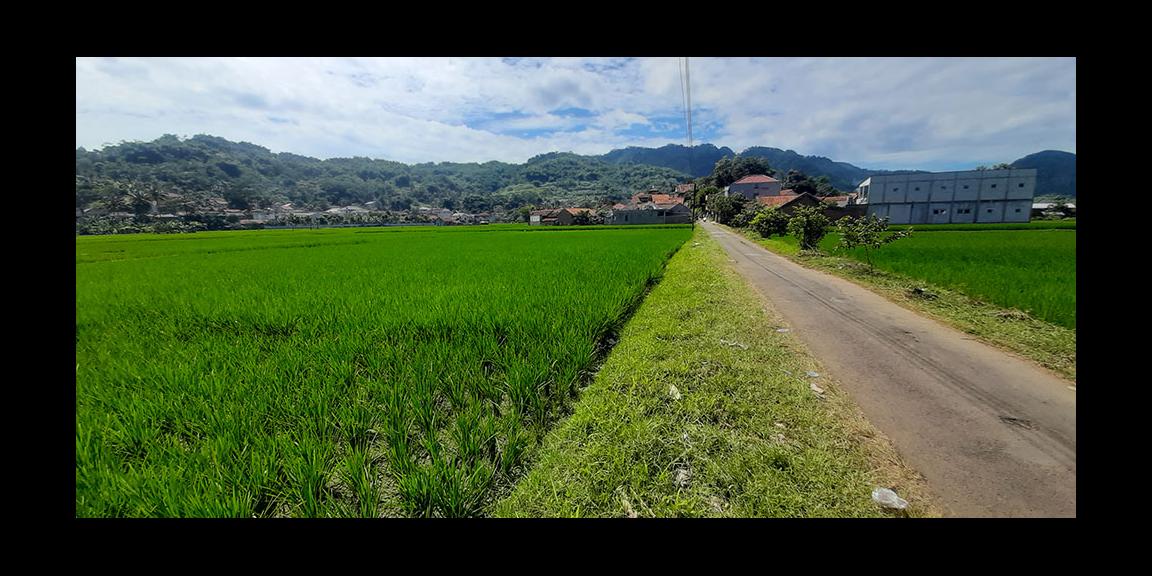 TANAH UNTUK PERUMAHAN ATAU PERMUKIMAN DI CILILIN BANDUNG BARAT TANAH UNTUK PERUMAHAN ATAU PERMUKIMAN DI CILILIN BANDUNG BARAT