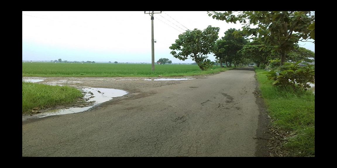 TANAH UNTUK INVESTASI DI KAWASAN BERKEMBANG DEKAT GT. SUMBERJAYA, CIPALI-MAJALENGKA TANAH UNTUK INVESTASI DI KAWASAN BERKEMBANG DEKAT GT. SUMBERJAYA, CIPALI-MAJALENGKA