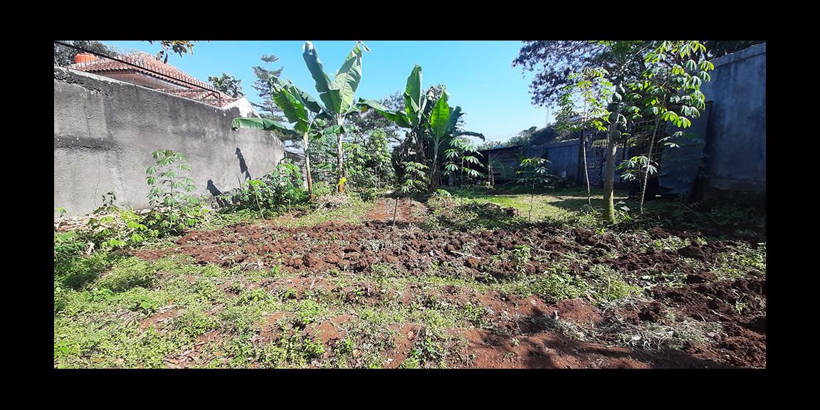 TANAH VIEW LEMBAH COCOK UNTUK RUMAH ATAU VILLA DI AWI LIGAR BANDUNG TANAH VIEW LEMBAH COCOK UNTUK RUMAH ATAU VILLA DI AWI LIGAR BANDUNG