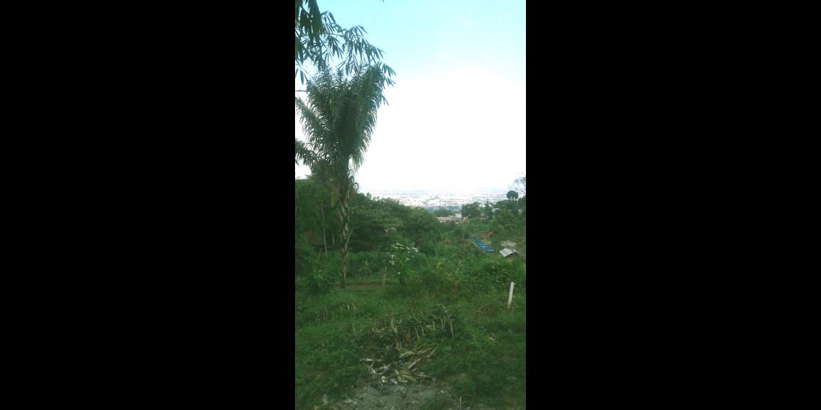 TANAH VIEW KOTA BANDUNG UNTUK RUMAH VILLA DAN KEBUN PRODUKTIF DI UJUNG BERUNG TANAH VIEW KOTA BANDUNG UNTUK RUMAH VILLA DAN KEBUN PRODUKTIF DI UJUNG BERUNG