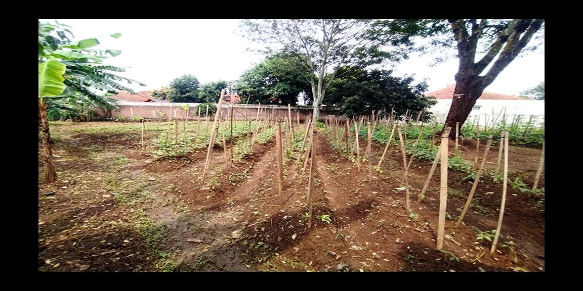 TANAH 1023 M2 BONUS RUMAH SERASA VILLA SUASANA PEDESAAN DEKAT STASIUN WHOOSH TEGALLUAR BANDUNG TANAH 1023 M2 BONUS RUMAH SERASA VILLA SUASANA PEDESAAN DEKAT STASIUN WHOOSH TEGALLUAR BANDUNG