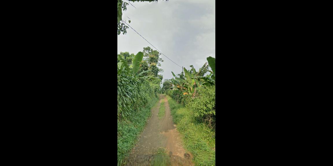 TANAH UNTUK WISATA RESORT PERKEBUNAN PETERNAKAN DEKAT JALAN CAGAK SUBANG TANAH UNTUK WISATA RESORT PERKEBUNAN PETERNAKAN DEKAT JALAN CAGAK SUBANG