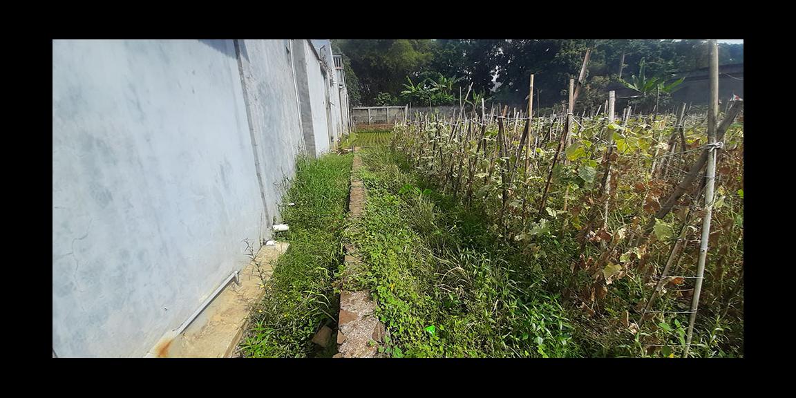 KAVLING 135 M2 MUKA 9 METER SHM AKSES MOBIL DI CISARANTEN KULON BANDUNG KAVLING 135 M2 MUKA 9 METER SHM AKSES MOBIL DI CISARANTEN KULON BANDUNG