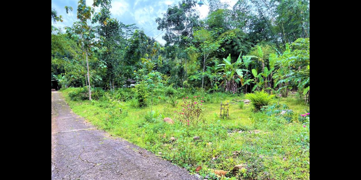 Dijual Rumah Joglo Mojogedang Karanganyar Dijual Rumah Joglo Mojogedang Karanganyar