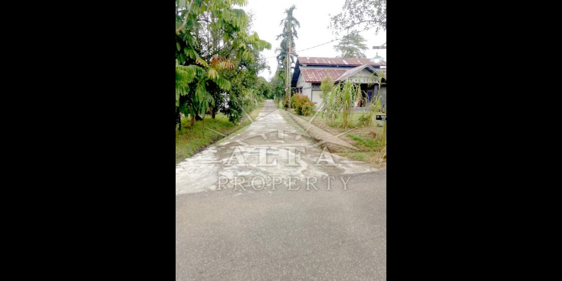 Tanah Dijual Gg. Ringin Sari Kota Pontianak Tanah Dijual Gg. Ringin Sari Kota Pontianak